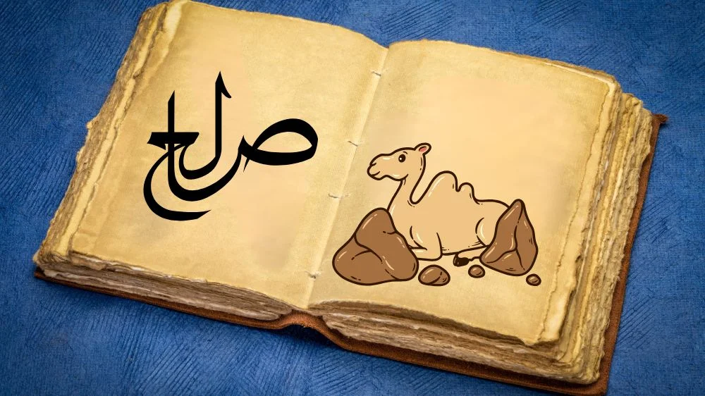 قصة نبي الله صالح