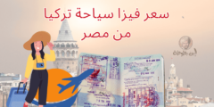 سعر فيزا سياحة تركيا من مصر وخطوات استخراجها