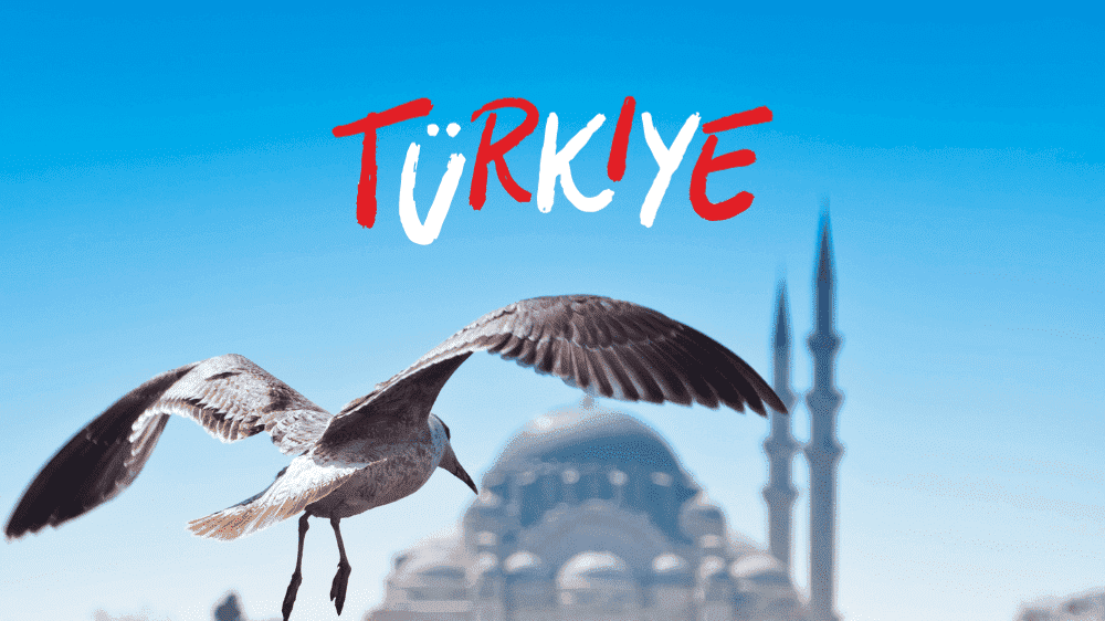 تأشيرة تركيا للسعوديين
