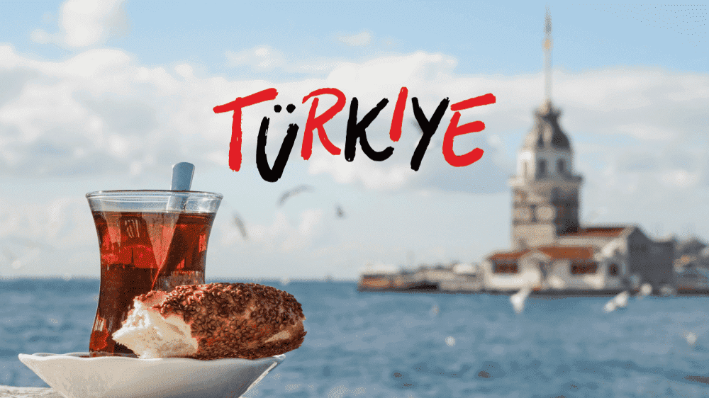 فيزا تركيا
