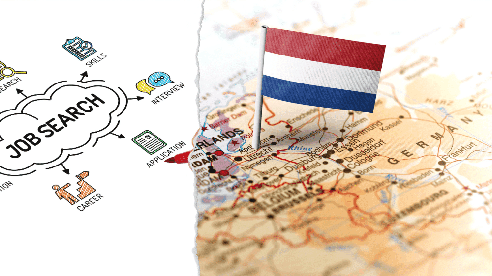 فيزا البحث عن عمل في هولندا