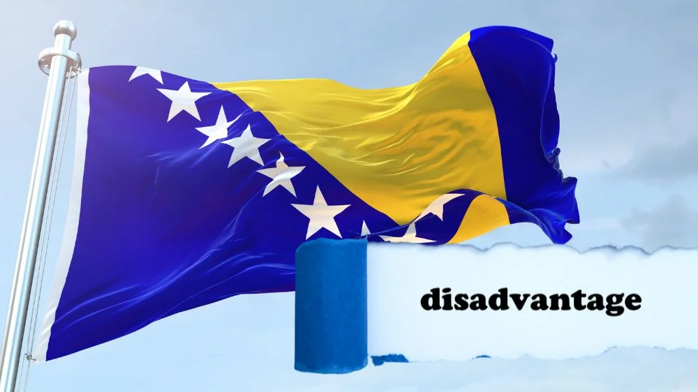 عيوب البوسنة