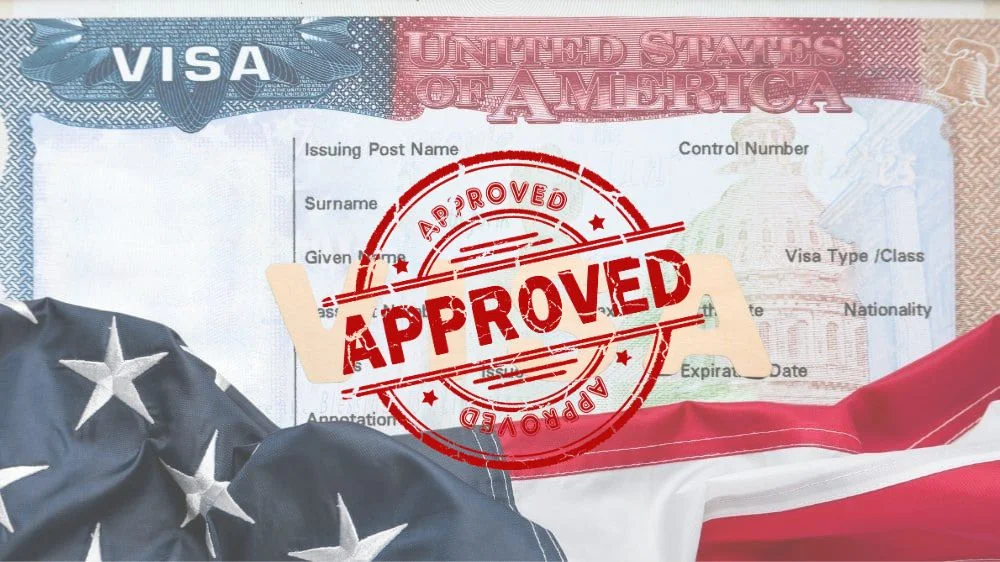 فيزا امريكا مضمونة